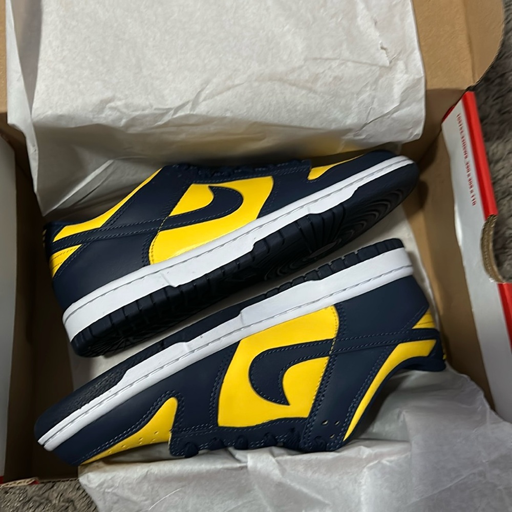 Nike Dunk “Michigan”